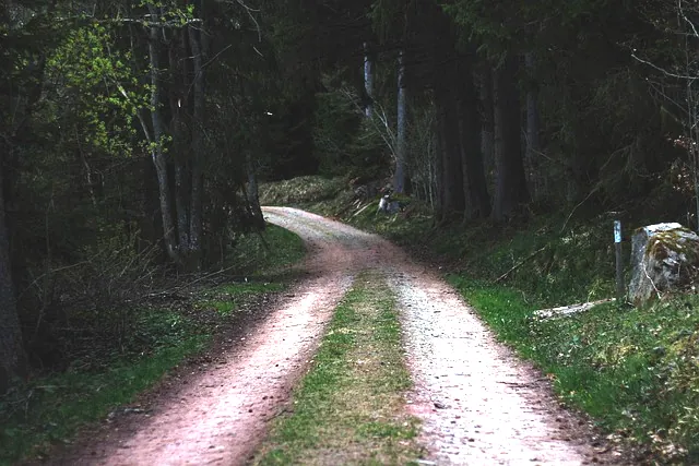 Sindets indysende enkelhed